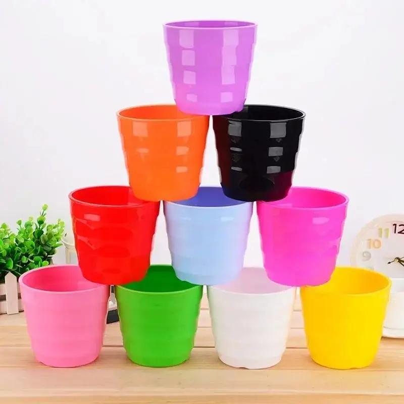 1 pz vaso da fiori in plastica - Echeveria Succulent recensione e prezzo