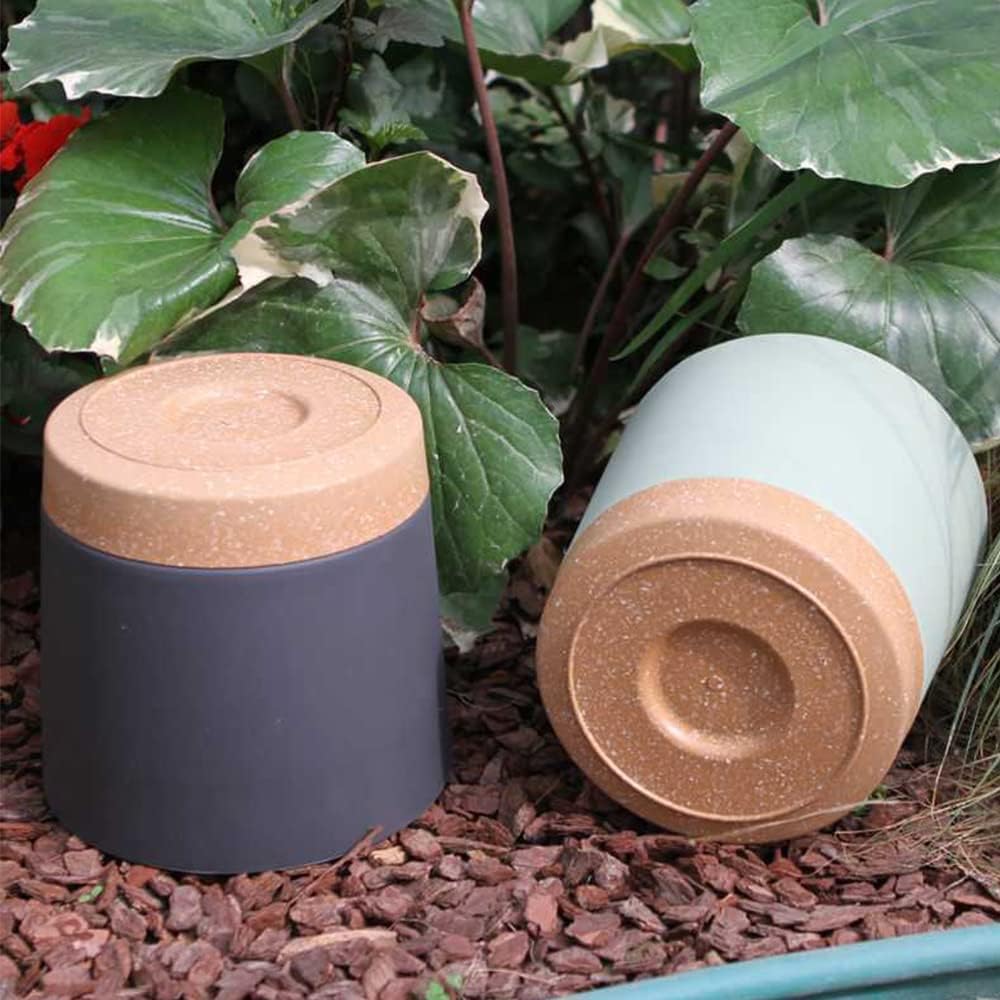 POTI per piante, POTI grandi e - Aloe Vera Pot recensione e prezzo