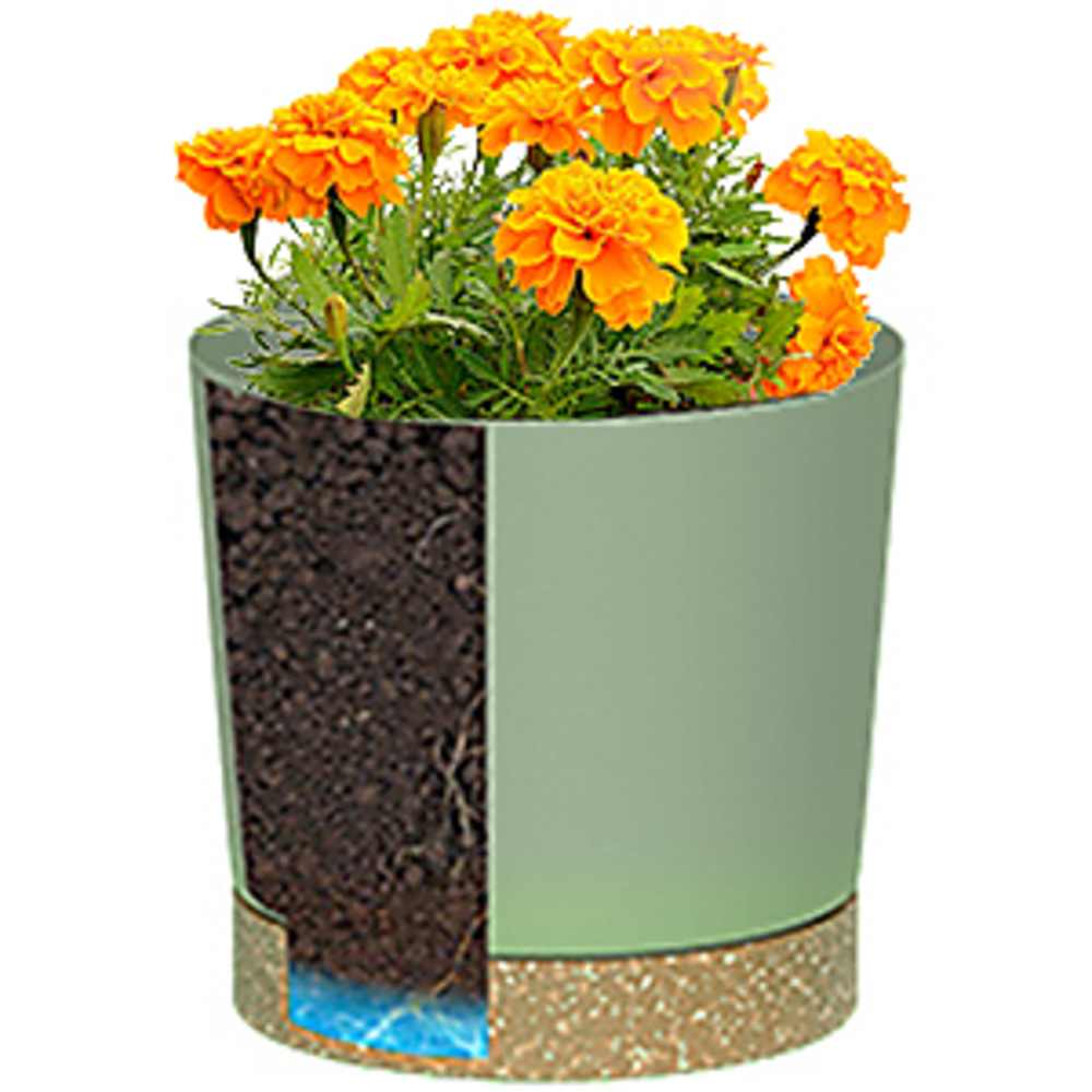 POTI per piante, POTI grandi e - Aloe Vera Pot recensione e prezzo