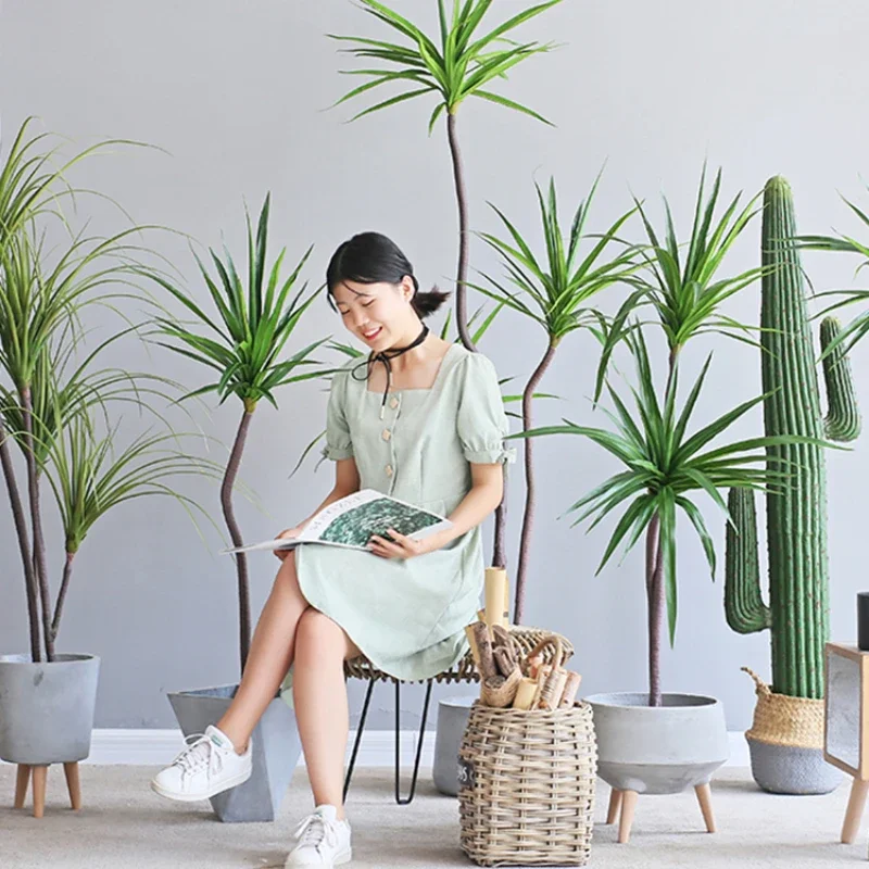 Pianta di simulazione Dracaena - Dracaena Marginata recensione e prezzo