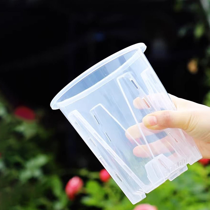 12cm per vaso da coltivazione  - Aloe Vera Pot recensione e prezzo