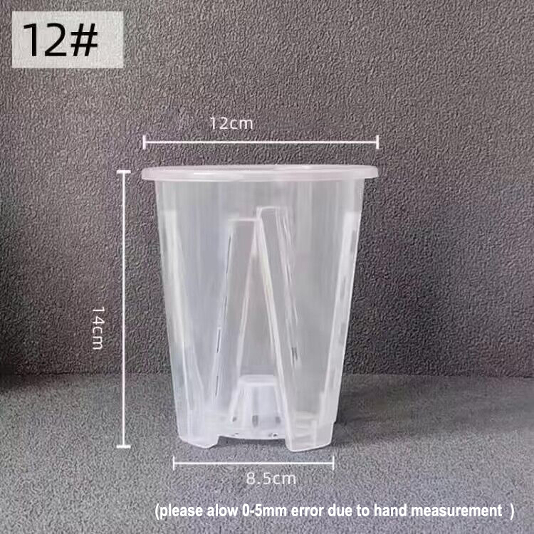 12cm per vaso da coltivazione  - Aloe Vera Pot recensione e prezzo
