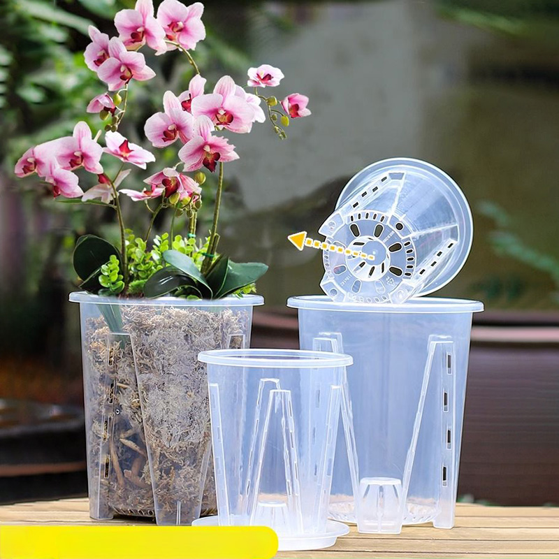 12cm per vaso da coltivazione  - Aloe Vera Pot recensione e prezzo