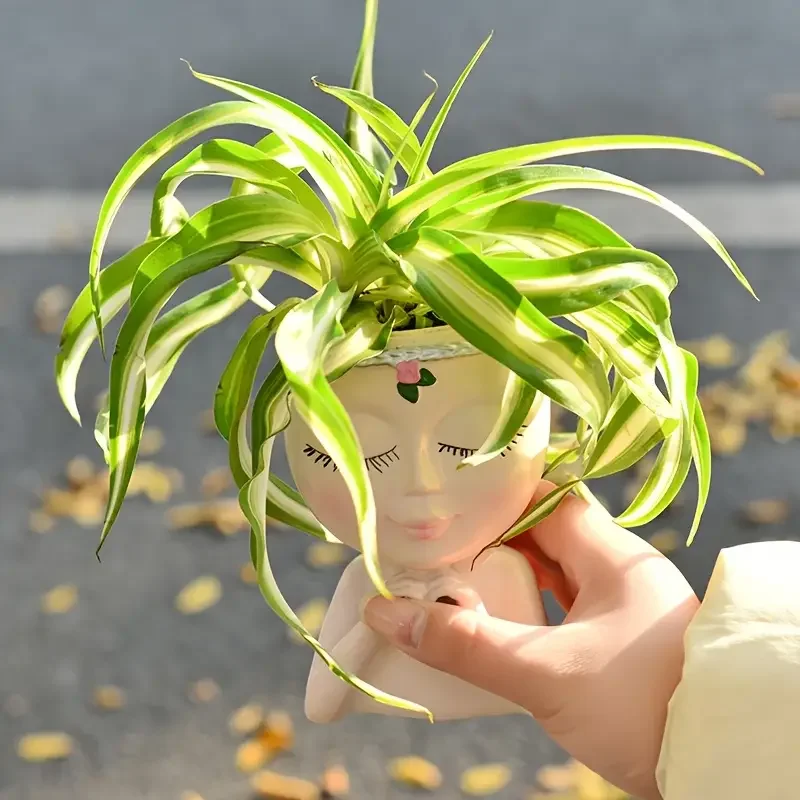 Vaso per Piante Grasse in Resi - Echeveria Succulent recensione e prezzo
