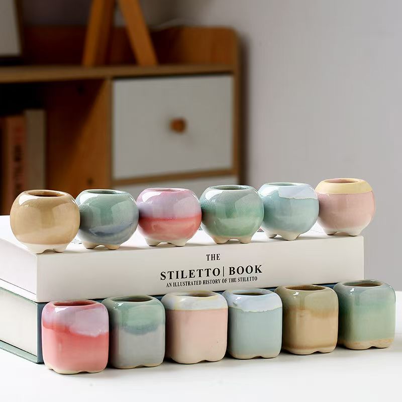 6 pezzi mini vaso da fiori pia - Echeveria Succulent recensione e prezzo