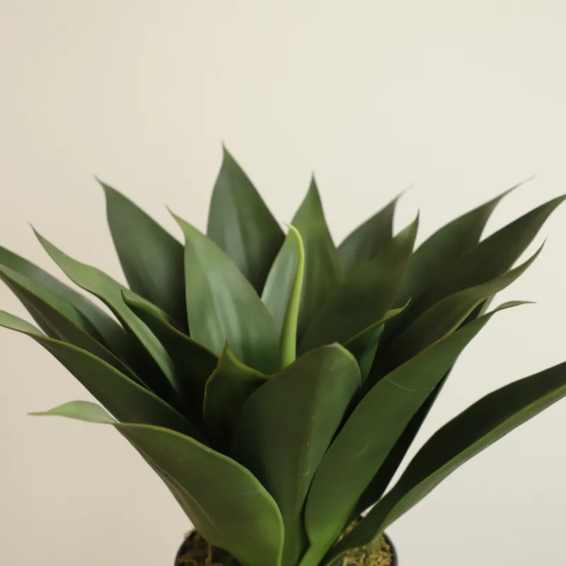 Pianta Artificiale di Aloe Ver - Aloe Vera Pot recensione e prezzo