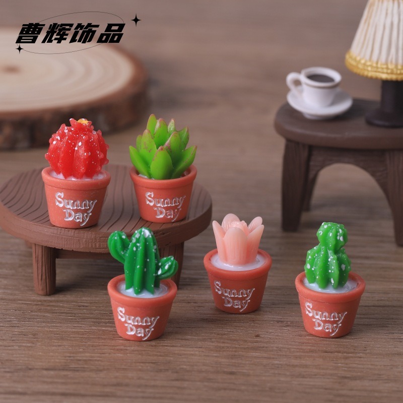 5 pezzi di simulazione succule - Echeveria Succulent recensione e prezzo