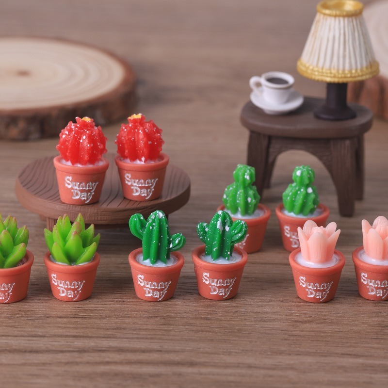 5 pezzi di simulazione succule - Echeveria Succulent recensione e prezzo
